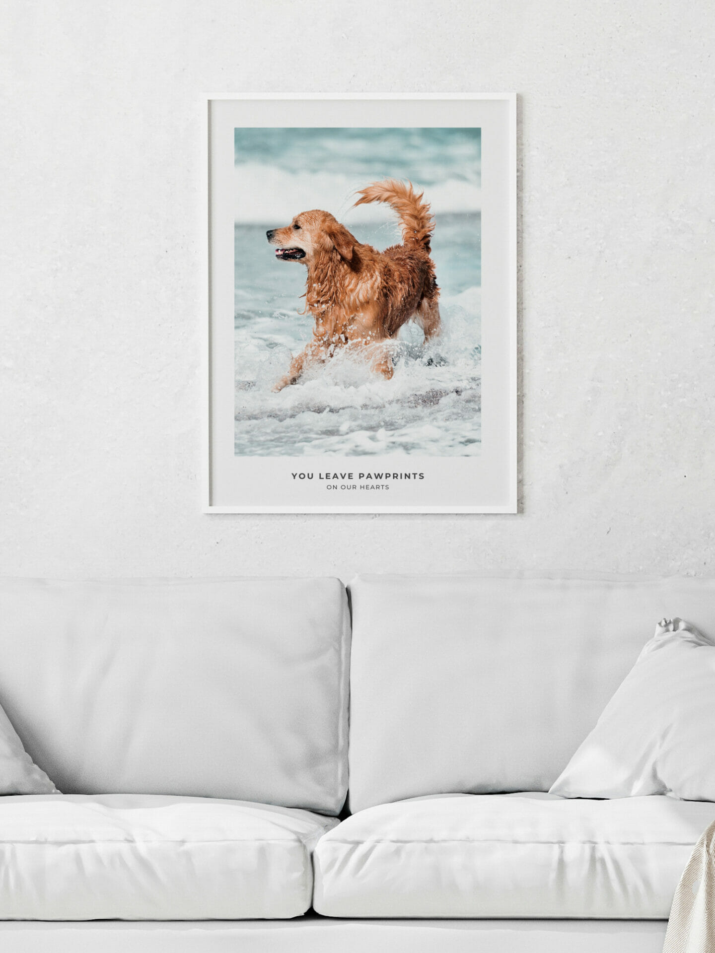 Poster of dog in ocean in interior